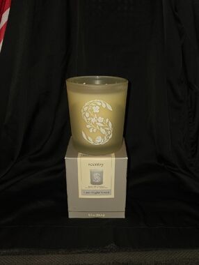 Scentsy Late Night Novel Candel